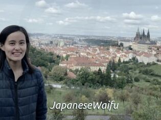 JapaneseWaifu Fan Domination