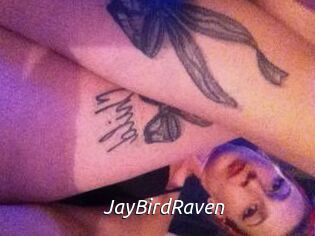 JayBirdRaven