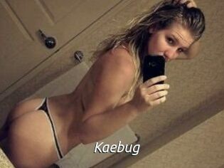 Kaebug