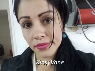 KinkyVane