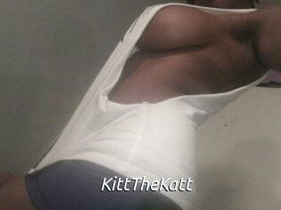 Kitt_The_Katt Fan Domination