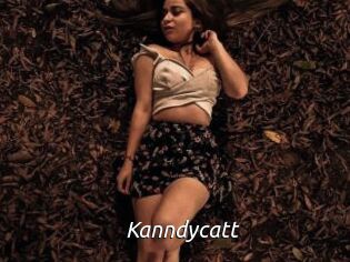 Kanndycatt