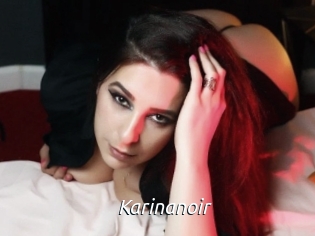 Karinanoir
