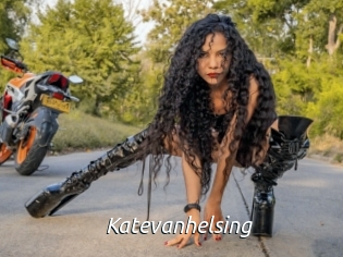 katevanhelsing Fan Domination