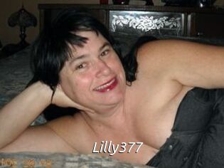 Lilly377