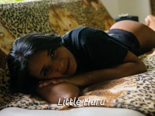 Little_Haru