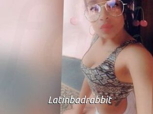 Latinbadrabbit