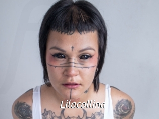 Lilacollina