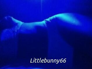 Littlebunny66