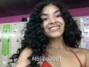 Malibu2001