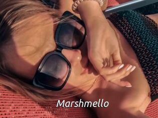Marshmello Fan Domination