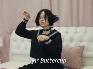 Mr_Buttercup