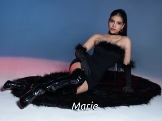 marie Fan Domination