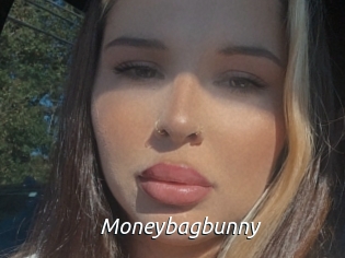 Moneybagbunny