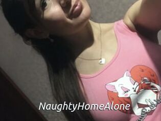 NaughtyHomeAlone