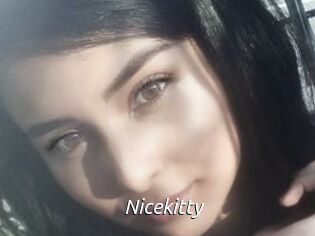 Nicekitty