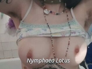 Nymphaea_Lotus