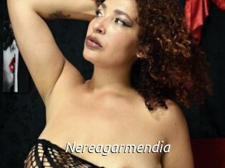 Nereagarmendia