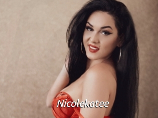 nicolekatee Fan Domination