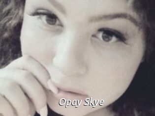Opay_Skye