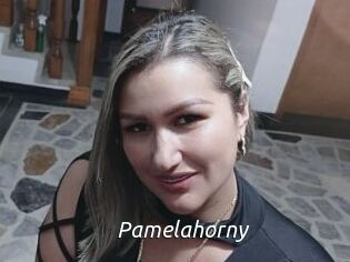 Pamelahorny