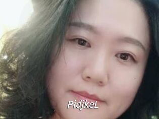 PidjkeL Fan Domination