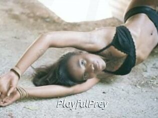 PlayfulPrey