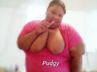 Pudgy