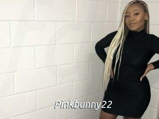 Pinkbunny22