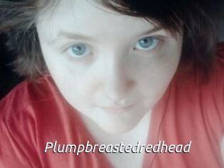 Plumpbreastedredhead