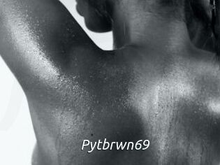 Pytbrwn69