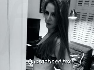 Quarantined_fox