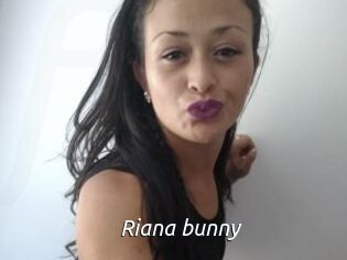 Riana_bunny