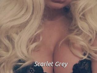 Scarlet_Grey Fan Domination