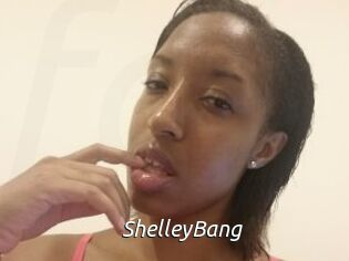 ShelleyBang Fan Domination