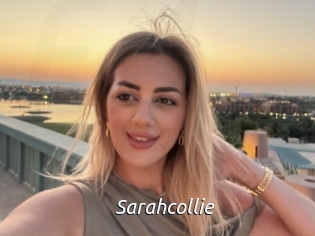 Sarahcollie