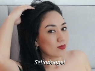 Selindongel