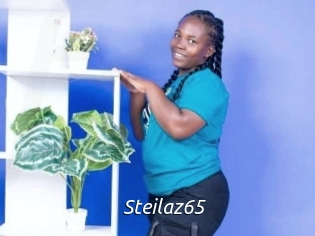 Steilaz65