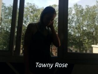 Tawny_Rose