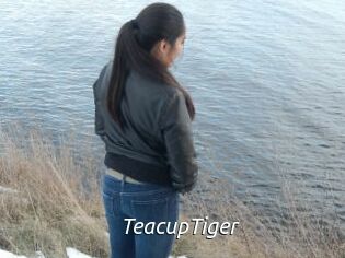 TeacupTiger
