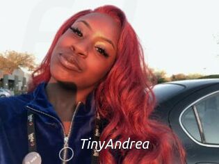 TinyAndrea