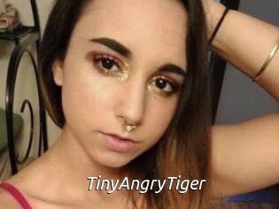 TinyAngryTiger
