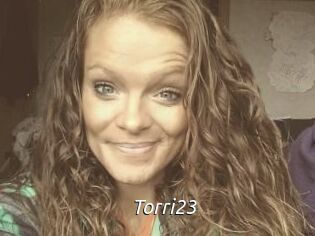 Torri23