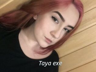 Taya_exe