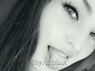 Tinyrabbitcol
