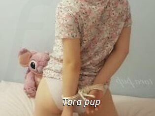 Tora_pup