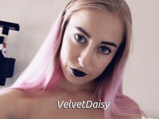 VelvetDaisy Fan Domination