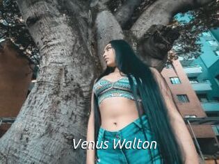 Venus_Walton