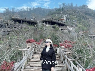 Vicion