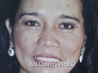 WILDpussyINBED